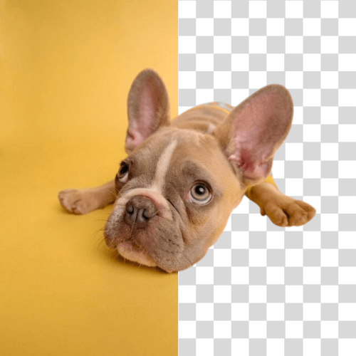 Background removal example